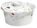 Chinese covered vegetable dish - Raynaud